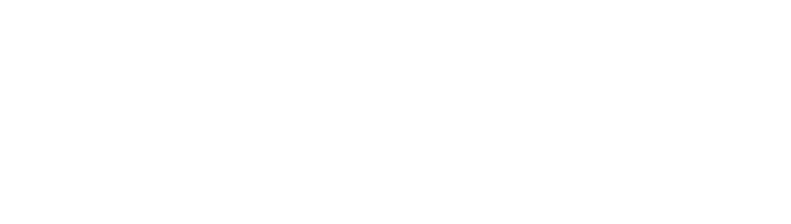 FlexDash